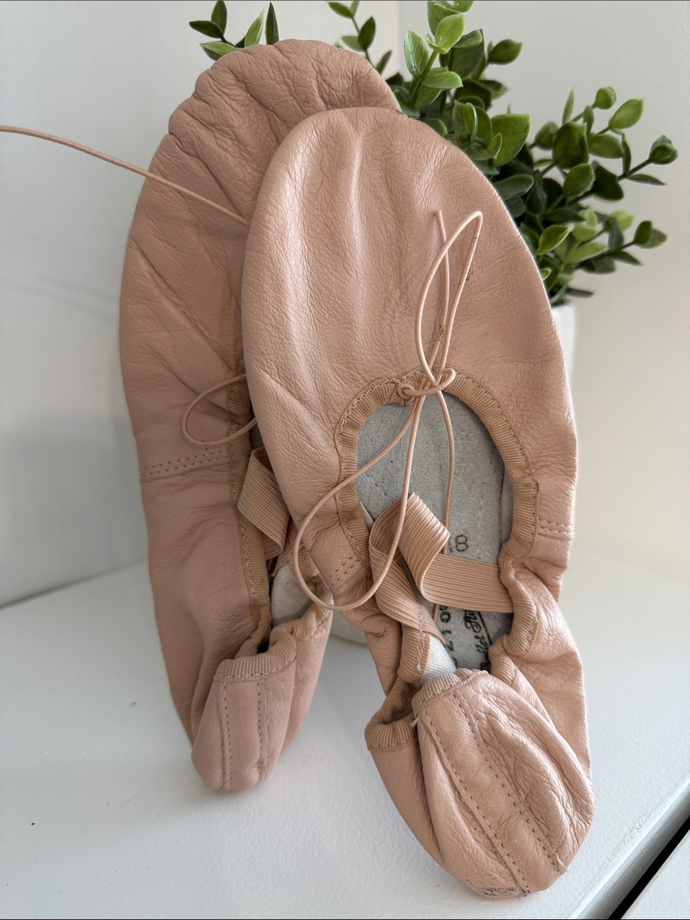 Capezio Leather Ballet Flats in Blush